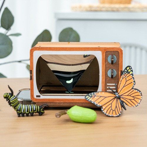 3D 홀로그램 시어터 만들기