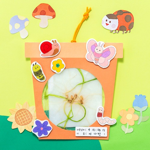 뿌리 관찰 식물 키우기 (곤충)